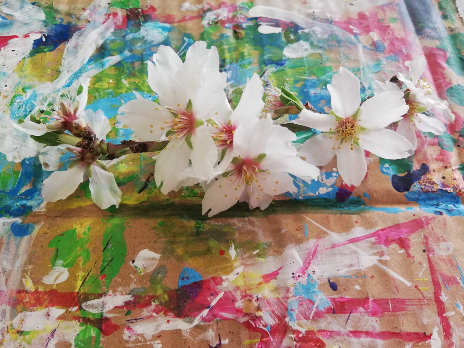 Obra Artesoceana 81